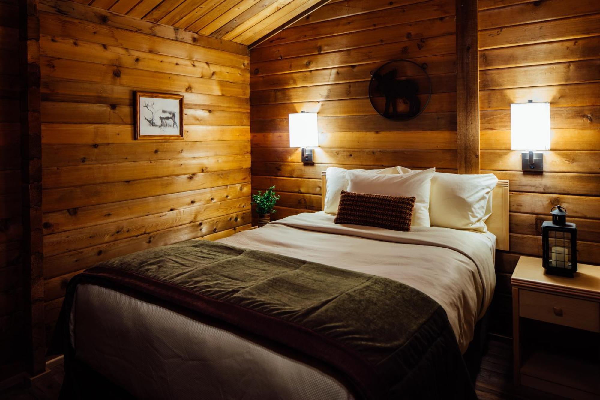 Denali Cabins Denali Park Eksteriør bilde