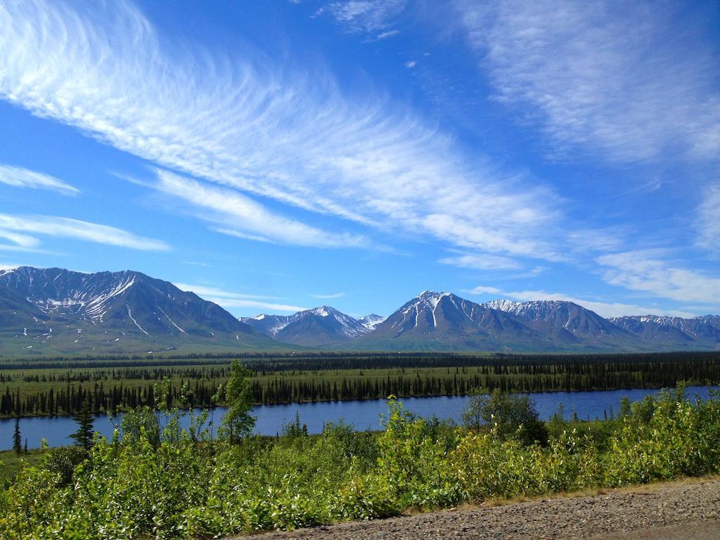 Denali Cabins Denali Park Eksteriør bilde