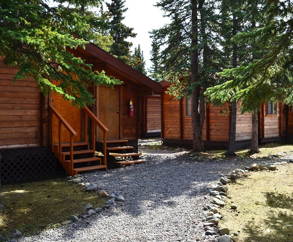 Denali Cabins Denali Park Eksteriør bilde